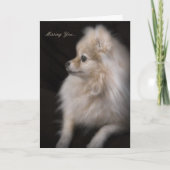 Carte Adorablement mignon Poser Pomeranian Chiot (Devant)