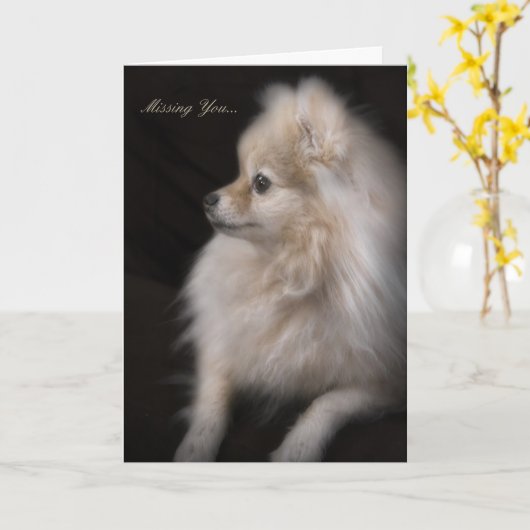 Carte Adorablement mignon Poser Pomeranian Chiot (Fleur jaune)