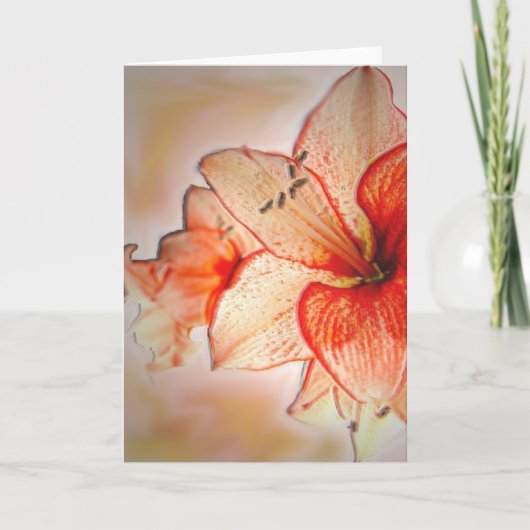 Carte Adoration d'amaryllis (Devant)