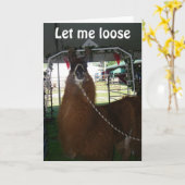 CARTE ADOREZ UN LAMA... OU QUELQU'UN D'AUTRE... ENVOYEZ- (Fleur jaune)