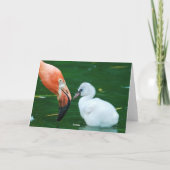 Carte Adult Flamingo and chick Greeting Card. (Dos)