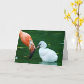 Carte Adult Flamingo and chick Greeting Card. (Fleur jaune)