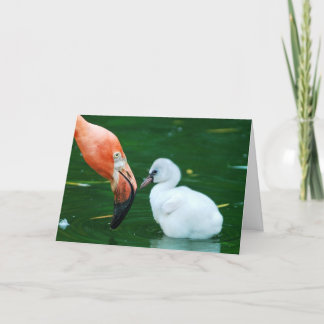 Carte Adult Flamingo and chick Greeting Card.