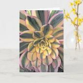Carte Aeonium varié (Fleur jaune)