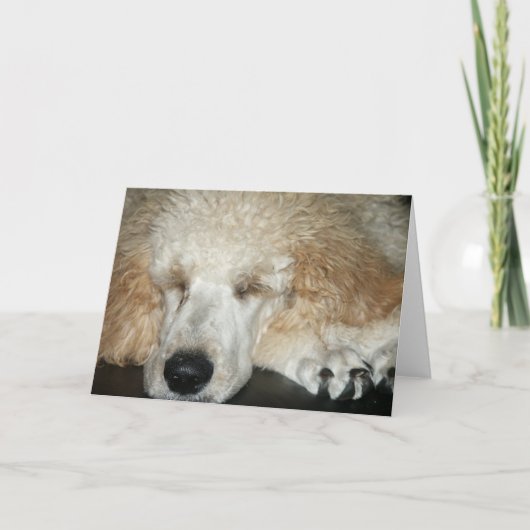 Carte Aero-2 (Devant)