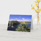 Carte AF, Egypte, Haute Egypte, Assouan. le Nil, (Fleur jaune)