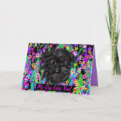 CARTE AFFENPINSCHER (Devant)
