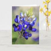 Carte Affiche Bluebonnet du Texas (Fleur jaune)