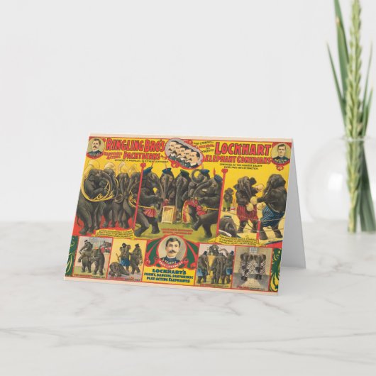 Carte Affiche De Cirque D'Éléphants Qui Se Déroulent (Devant)