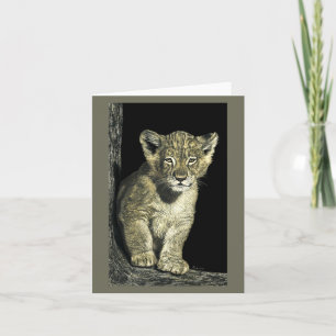Carte Africaine Lion Cub - "Petit Roi"
