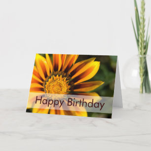 Carte African Daisy