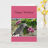 Carte African Grey Parrot with Orchids (Fleur jaune)