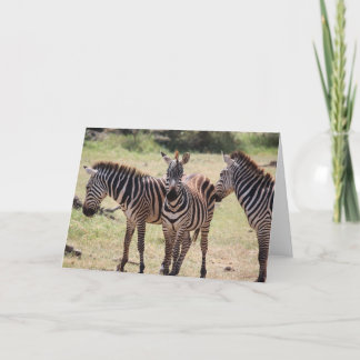 Carte African Zebra