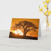 Carte Afrique, Botswana, Définition des silhouettes du s (Fleur jaune)