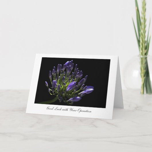 Carte Agapanthus, lis africain, bonne chance avec (Devant)