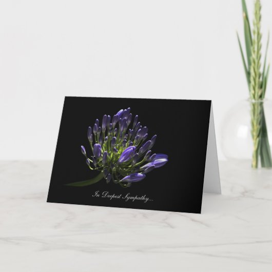 Carte Agapanthus, Lys Africains - En Sympathie La Plus P (Devant)