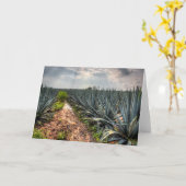 Carte Agave Tequilana (Fleur jaune)