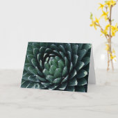 Carte Agave verte (Fleur jaune)