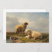 Carte Agneau à mouton et canards | Eugène Joseph Verboec (Devant / Derrière)