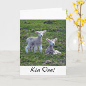 Carte Agneaux néo-zélandais (Fleur jaune)