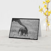 Carte Aider le coffre (Fleur jaune)