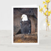 Carte Aigle américain dans le nid (Fleur jaune)