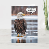 Aigle Bald Sur Glace Pour 97ème Anniversaire
