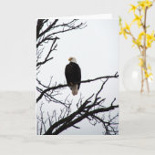 Carte Aigle Balle Dans L'Arbre (Fleur jaune)