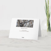 Carte Aigle de Bald à la chasse (Dos)