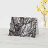 Carte Aigle de Bald à la chasse (Fleur jaune)