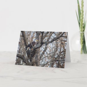 Carte Aigle de Bald à la chasse