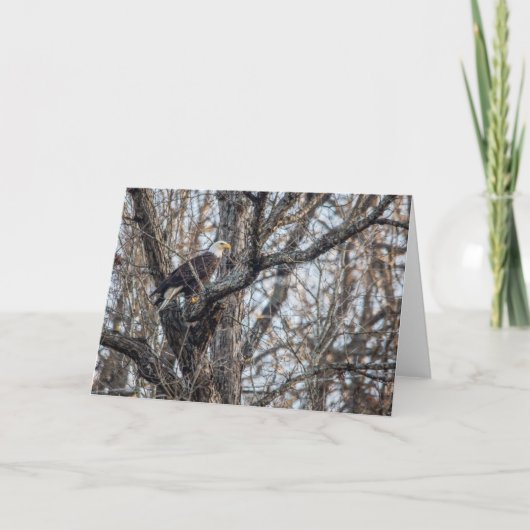 Carte Aigle de Bald à la chasse (Devant)