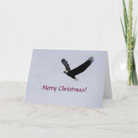 Carte / Aigle de Noël en vol