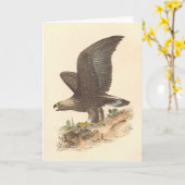 Carte Aigle d'or (Aquila chrysaetos) NY Bird Image (Fleur jaune)