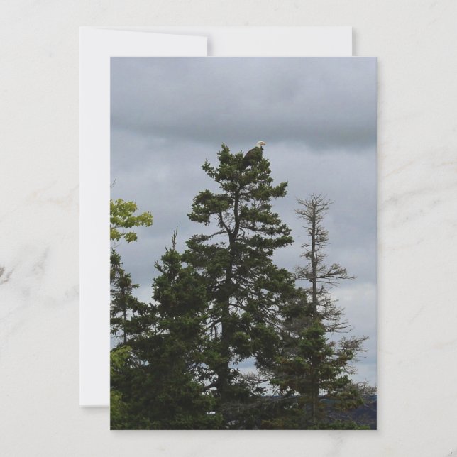 Carte Aigle supérieure de l'arbre (Devant)