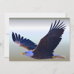 Carte Aigle volant