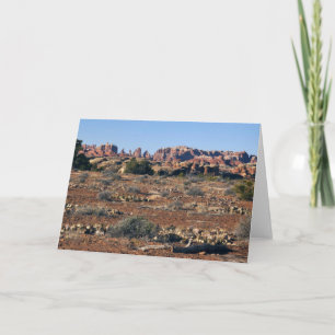Carte Aiguilles du sentier de Pothole Point à Canyonland