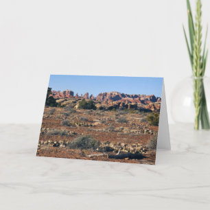 Carte Aiguilles du sentier Pothole Point aux Canyonlands