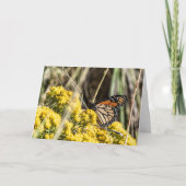 Carte Ail et Kale (Devant)