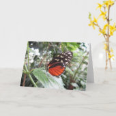 Carte Ailes papillon (Fleur jaune)