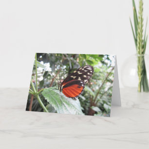 Carte Ailes papillon