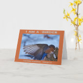 Carte Ailes vers l'Est Oiseau de bleuet (Fleur jaune)