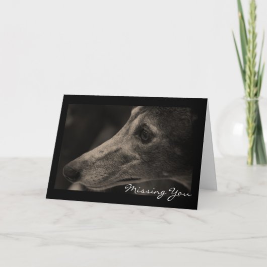 Carte Aimer Greyhound (Devant)