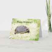 Carte Aimer les hérissons (Devant)