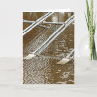 Aire de jeu inondée