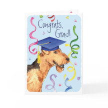Airedale Graduate