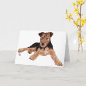 Carte Airedale, Lakeland, Welsh Terrier Pup (Fleur jaune)