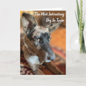 Carte Ajouter Votre Photo Chien De Vétail Anniversaire (Devant)