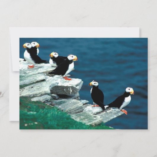 Carte Alaska Tampins (Devant)