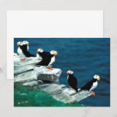 Carte Alaska Tampins (Devant / Derrière)